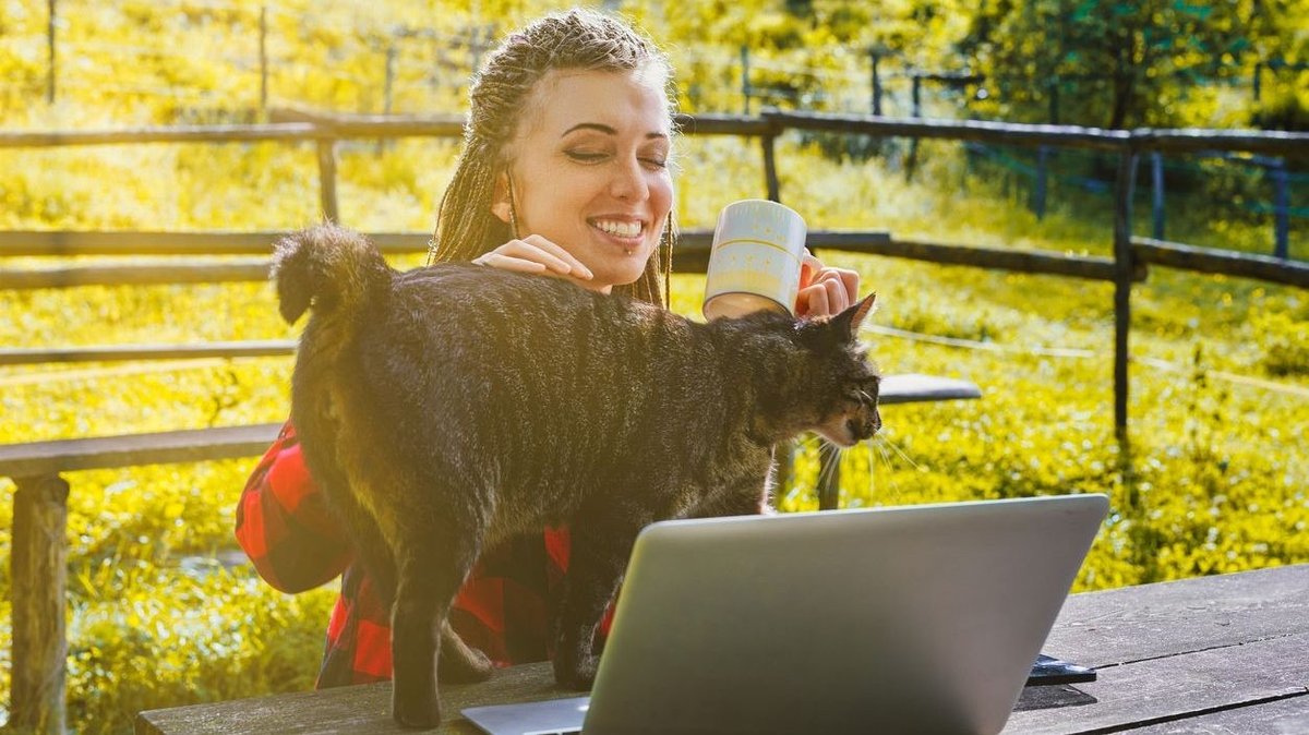 Geographic Randomizer Games & Challenges Test Your Global Knowledge Daily